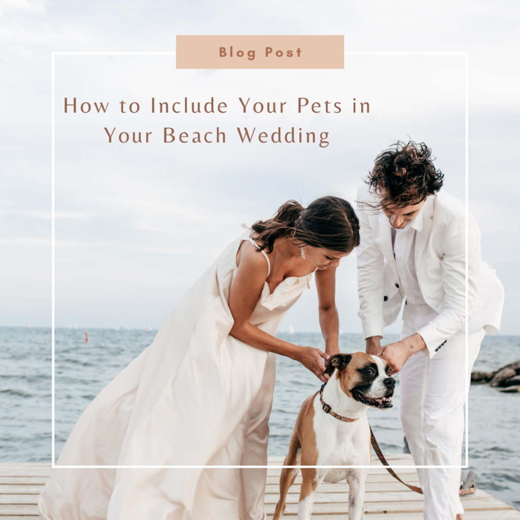 How to Include Your Pets in Your Beach Wedding