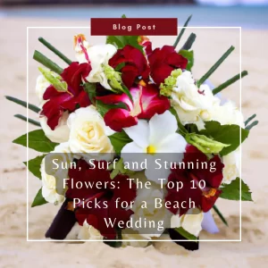 10 Best Flowers for a Beach Wedding